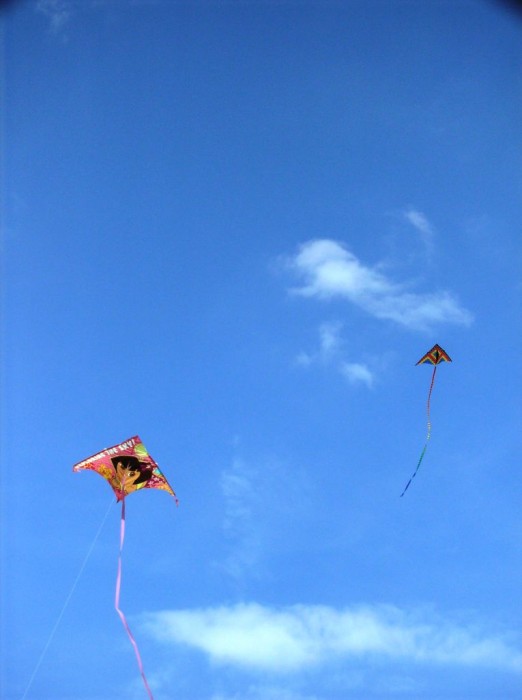 2008 KiteFestival-012.jpg